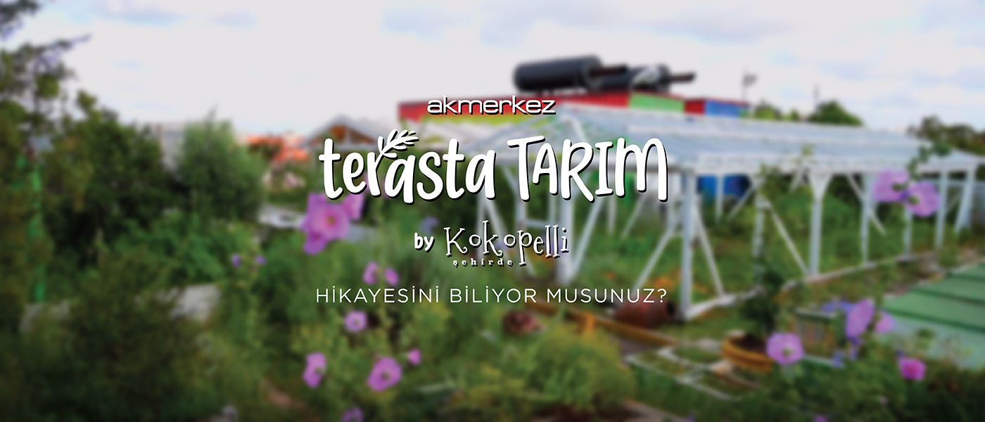 Terasta Tarım Görseli